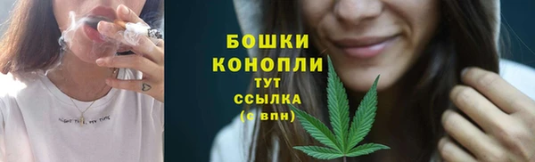 мет Нягань