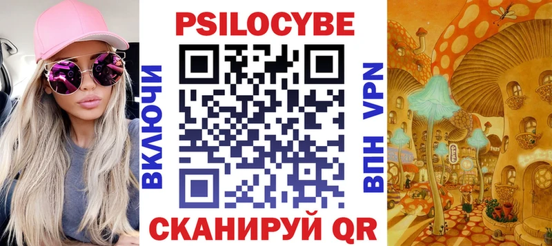 Купить  Чебаркуль  Псилоцибиновые грибы Cubensis 
